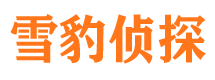 蔡甸捉小三公司